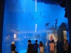 迪拜爆料新闻事件视频,惊曝新闻事件视频揭秘